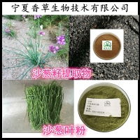 野山花粉廠家批發(fā)價格表與網(wǎng)絡(luò)游戲服務(wù)的結(jié)合